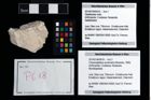 Foto (Objekt + Etikett) von Cracensigillatus acutirostris (Moericke, 1889)  (NHMW-GEO-2014-0194-0618)